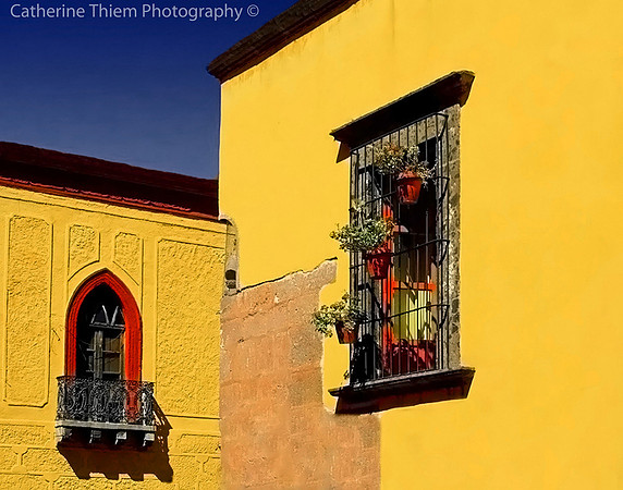 The Windows