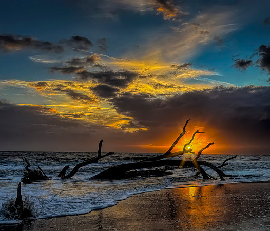 Driftwood Beach Sunrise Jekyll Island