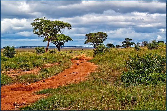 The Road Never Ending 1