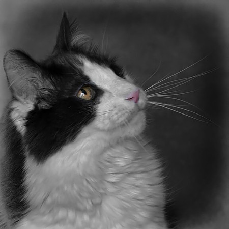 George 2