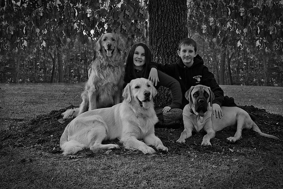 Bowe Family