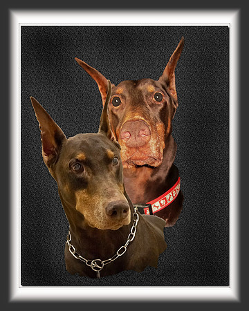 Thorin & Luther