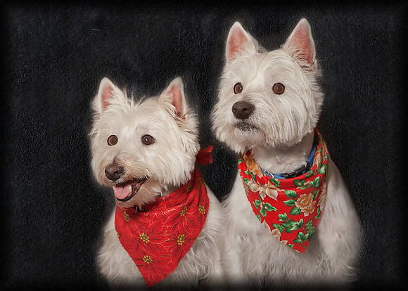 Lucy & Ricky