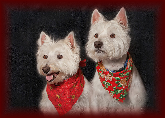 Lucy & Ricky