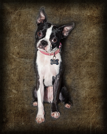 Millie 1,8 by 10