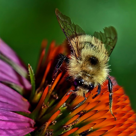 "Landing Zone", Won Honorable Mention January 2012