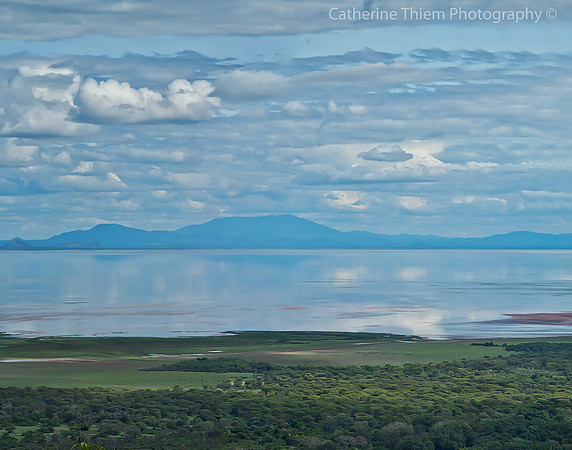 Reflections On Lake Manyara