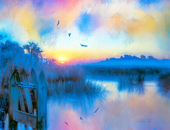 Misty Morning Marsh #2