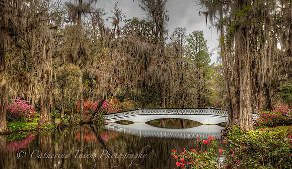 gnolia Plantation South Carolina