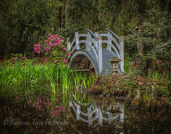 gnolia Plantation South Carolina