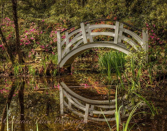 gnolia Plantation South Carolina
