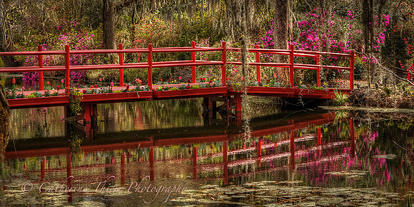 gnolia Plantation South Carolina