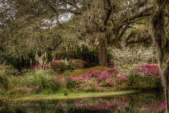 Middleton Plantation South Carolina