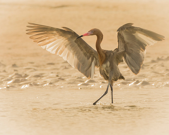 Waltz On Water