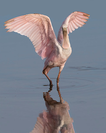 Take Off