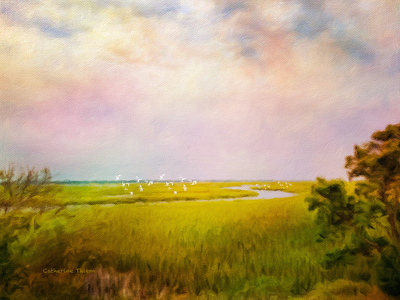 Sunset Over St Helena Island Marsh
