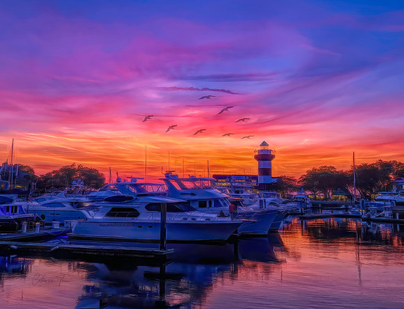Nights On Fire Harbor Town
