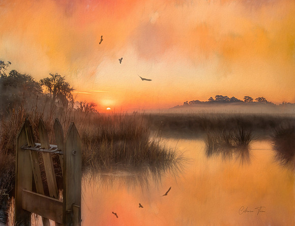 Misty Morning Marsh #3