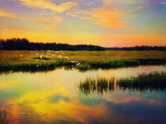 Sunset Marsh 3