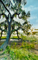 Lone Oak