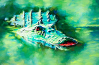 Gabie Gator