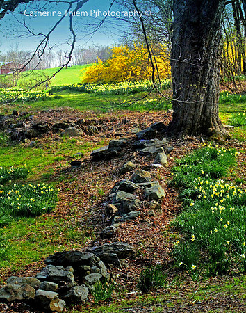 Laurel Ridge
