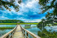 Magnificent Marsh