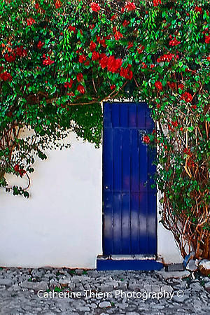 Blue Door